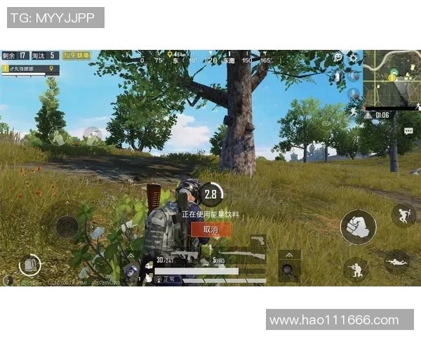 王静独家分享和平精英游戏心得与技巧助你快速提升战斗力