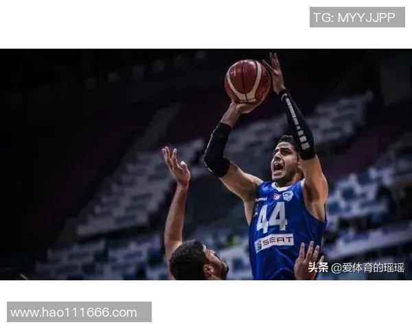 突尼斯与苏丹比赛前瞻及比分预测分析,谁将赢得胜利