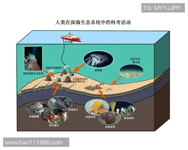 鸟栖沙岩与清水的对比分析探讨生态环境与生物多样性的关系